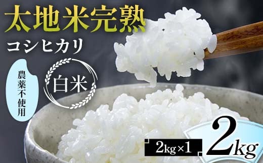 
            2024年産 農薬不使用 太地米完熟 【こしひかり】 白米 2kg ブランド米 お米 精米 白米 人気 F7X-0327
          