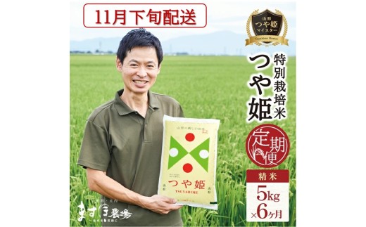 11月下旬発送開始／【6回定期便】令和8年産【精米】つや姫マイスターが作った 特別栽培米『つや姫』5kg×6回(計30kg)［減農薬・減化学肥料］ MA SI0083