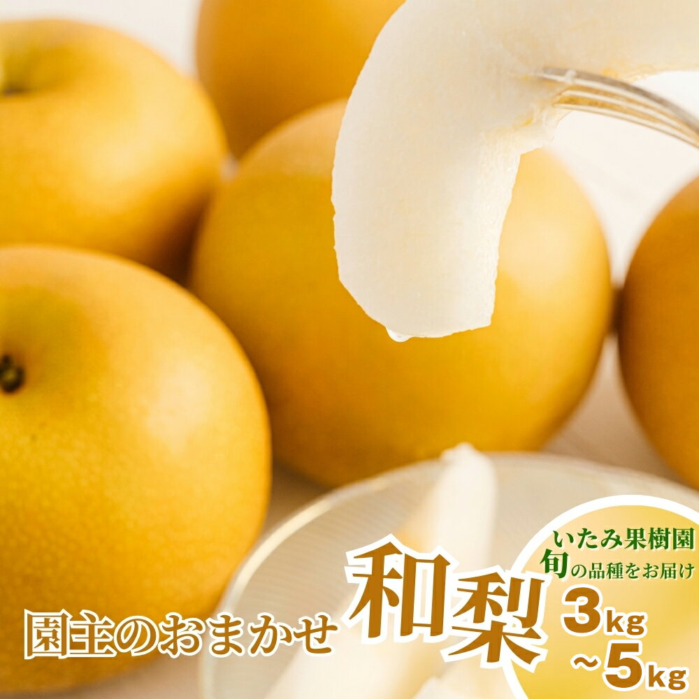 【ふるさと納税】【2025年】新潟県産 和梨 おまかせ【和梨7品種からおまかせ】選べる内容量 「3kg」or「5kg」 園主おすすめ厳選和梨 （ 幸水・秋麗・豊水・あきづき・新美月・新王・新興） 《8月下旬から順次発送》 旬の和梨をお届け フルーツ 果物 加茂市 いたみ果樹園