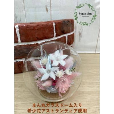 ふるさと納税 春日部市 シュガーパインのプリザーブドフラワーアレンジ【アリア】春日部市
