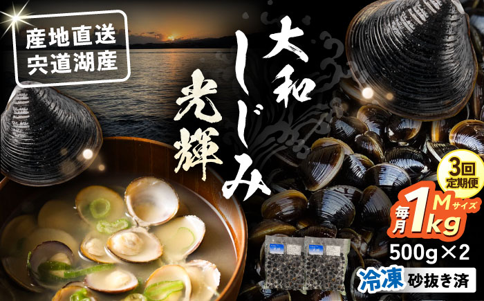 【全3回定期便】産地直送！宍道湖産 冷凍大和しじみMサイズ1kg(500g×2) 砂抜き処理済 島根県松江市/りすたむMatsue [ALDE019]