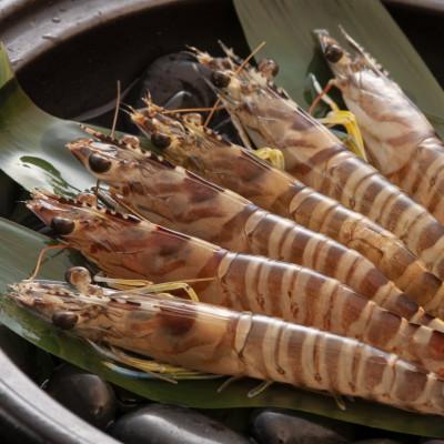 ふるさと納税 宜野座村 【養殖場から直送】急速冷凍車えび 中サイズ 1kg(44〜52尾/500g×2P) |  | 01