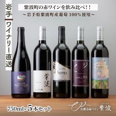 ふるさと納税 紫波町 【自園自醸ワイン紫波】辛口赤ワイン飲み比べ5本セット