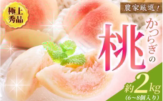 【先行予約】【厳選】あふれる果汁で口いっぱい！ 和歌山県産 桃 約2kg（6個~9個） 2025年6月末頃～2025年8月末頃に順次発送予定（お届け日指定不可）/ 和歌山 桃 モモ フルーツ もも 白桃 果物 くだもの【kgr001】