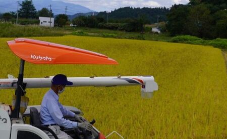 【3年連続山形県知事賞 受賞】新米 はえぬき 10kg（5kg×2袋） 令和7年産 精米 米 こめ コメ 2025年産 山形県 朝日町産 送料無料