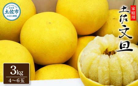 【先行予約】生産者直送 土佐文旦 約3kg [2L～4L] 家庭用 ＜2027年1月下旬より発送＞ 家庭用 文旦 柑橘 みかん フルーツ  果物  産地直送 お取り寄せ 人気  【土佐文旦産直協同組合】