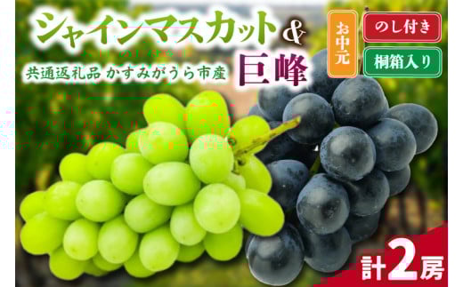 ＜のし付き＞お中元　シャインマスカットと巨峰桐箱入り計2房　県内共通返礼品 (BR153)