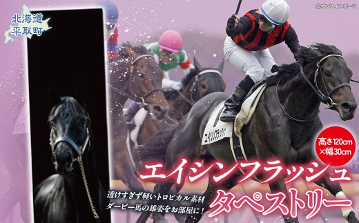 【エイシンフラッシュ】タペストリー  【ふるさと納税 人気 おすすめ ランキング 馬 競馬 競走馬 引退馬 エイシンフラッシュ 日高 北海道 平取町 びらとり 送料無料】 BRTV031