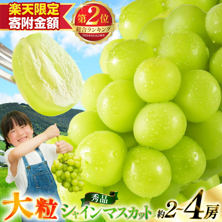 【ふるさと納税】【楽天限定寄附額 2房 1.2kg 以上 9,000円】 総合2位 シャインマスカット 秀品 選べる内容量 冷蔵 [もん前の里 山形県 高畠町 tk06ays960008] ふるさと納税 シャインマスカット ふるさと納税 マスカット 大粒 果物 くだもの 1kg 以上 2kg 以上 2房 4房