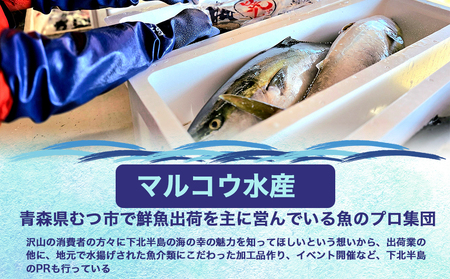 【予約商品】津軽海峡　大間産　極上本マグロ　刺身用サク　中トロ