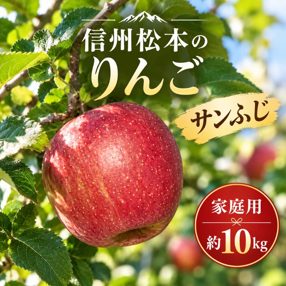 【ふるさと納税】【先行受付：11月発送】【家庭用】信州松本のりんご 家庭用「サンふじ」約10kg｜ふるさと納税 信州産 長野県 松本市 家庭用 サンふじ りんご リンゴ 林檎 果物 フルーツ くだもの