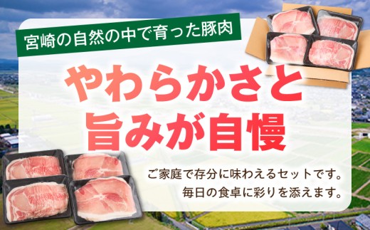 【最速便】宮崎県産豚2kg お試しセット_M241-021-01-2W