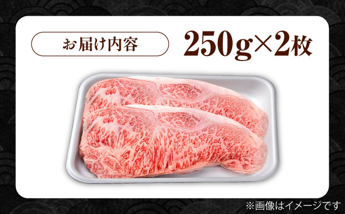 佐賀牛 贅沢サーロインステーキ 250g×2枚（計500g）/サーロインステーキ　黒毛和牛ステーキ　上質ステーキ ブランドステーキ 国産ブランド和牛ステーキ 上質サーロイン 贅沢【株式会社いろは精肉店