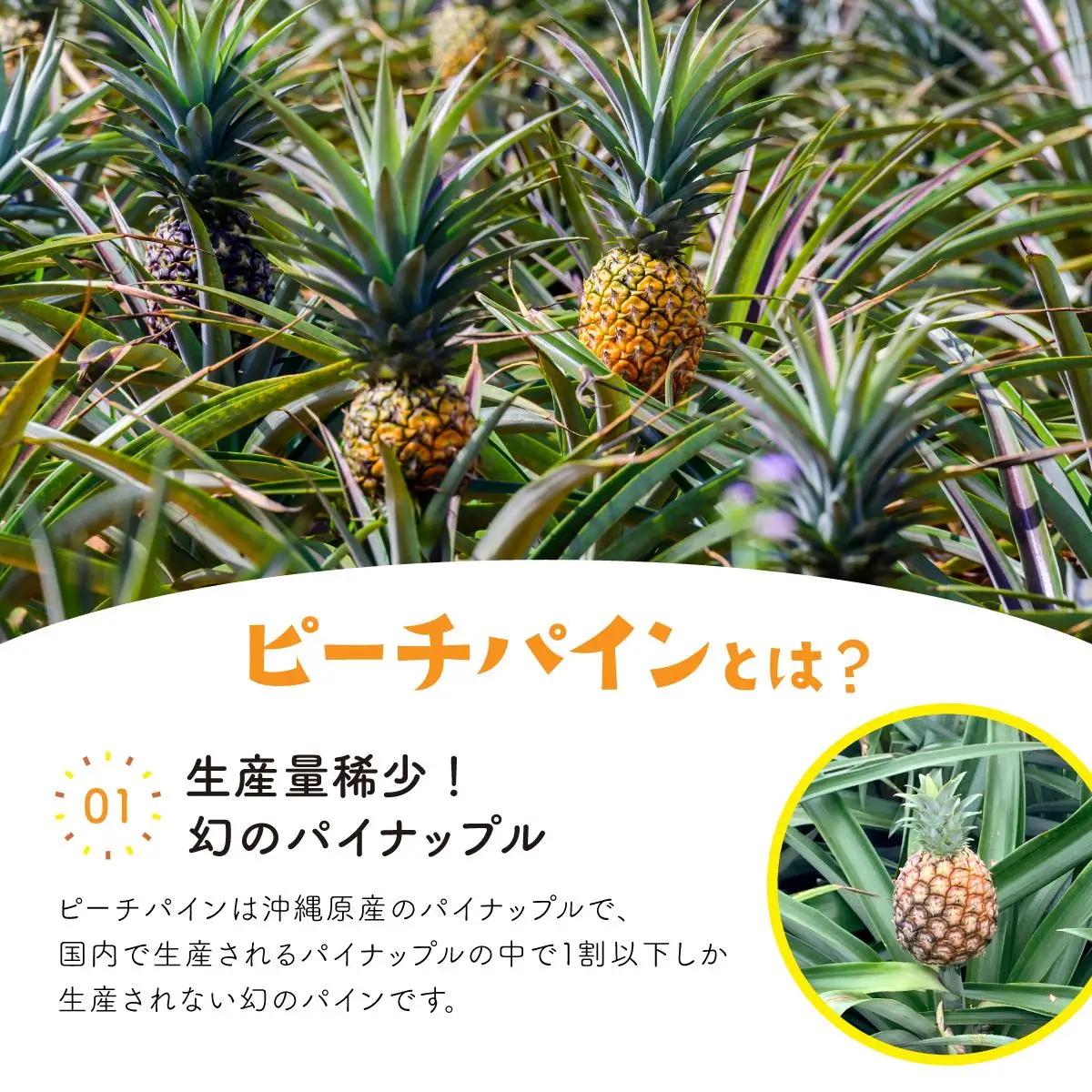 パイン ジュース ITQI2021 7個