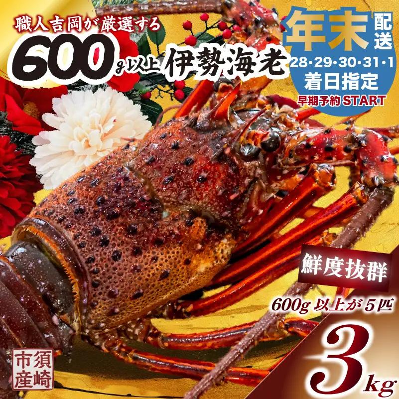 【伊勢海老】 【年末予約配送･31日着】特大伊勢海老 5匹