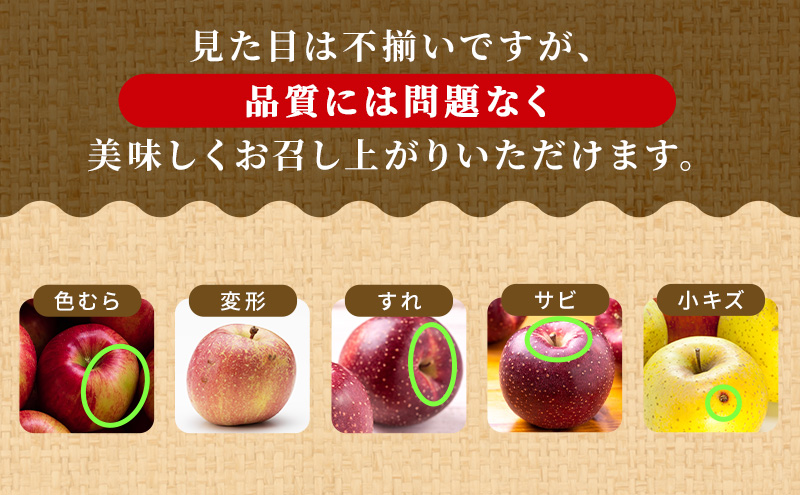 りんご 【11～12月発送】【訳あり】家庭用 シナノスイート 約3kg 糖度13度以上（糖度証明書付き）【 弘前市産 青森りんご 】