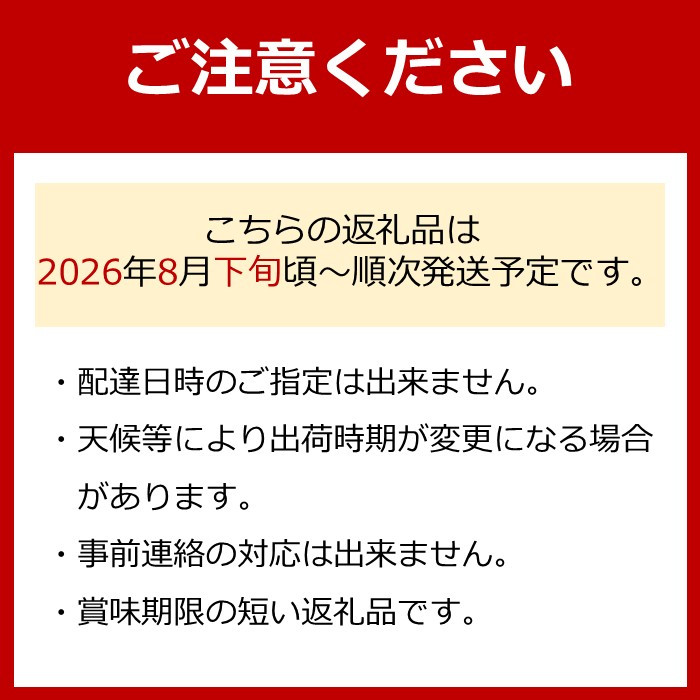 ［先行予約］シャインマスカット 約1kg  (2房～3房) 有田巨峰村 【朝採 新鮮】 ■2026年発送■※8月下旬頃から9月下旬頃まで順次発送予定  	BZ116