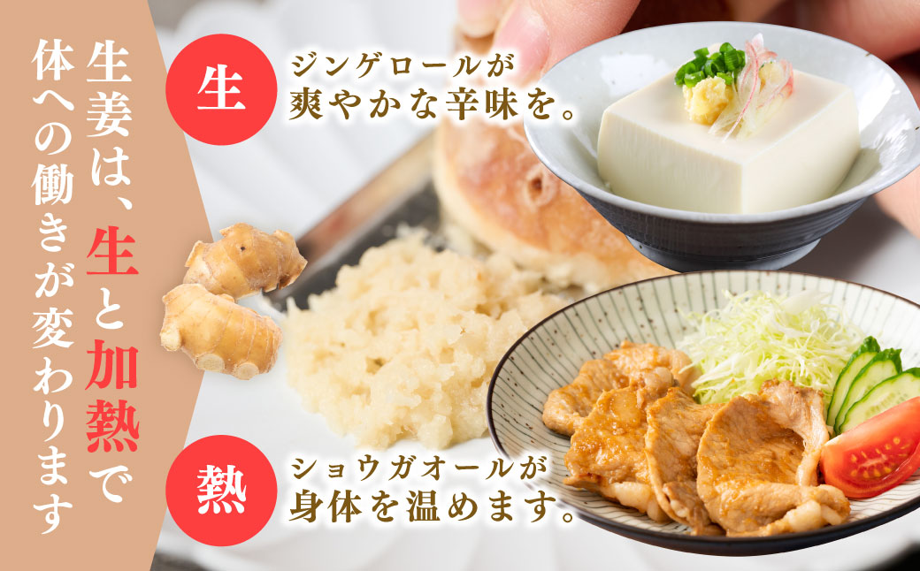 八代生姜80g×5パック 合計400g しょうが ショウガ ガリ ジンジャー 野菜 食品 薬味 生姜焼き しょうが焼き 温活 冷え性 対策 熊本県 八代市 東陽町 産地直送 国産