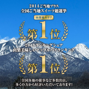 焼上当日発送おいしさ5日間 【パイ一筋!八ヶ岳パイ工房】紅玉アップルパイ(25cm)