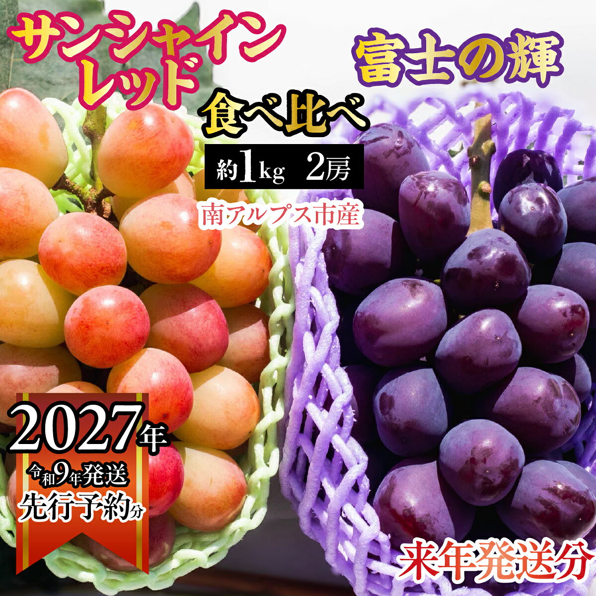 【ふるさと納税】 【2027年発送先行予約】南アルプス市産　サンシャインレッド × 富士の輝き 食べ比べセット　約1.0kg（2房）ふるさと納税 葡萄 ぶどう 果物 フルーツ おすすめ 山梨県 南アルプス市 送料無料 ALPDD023
