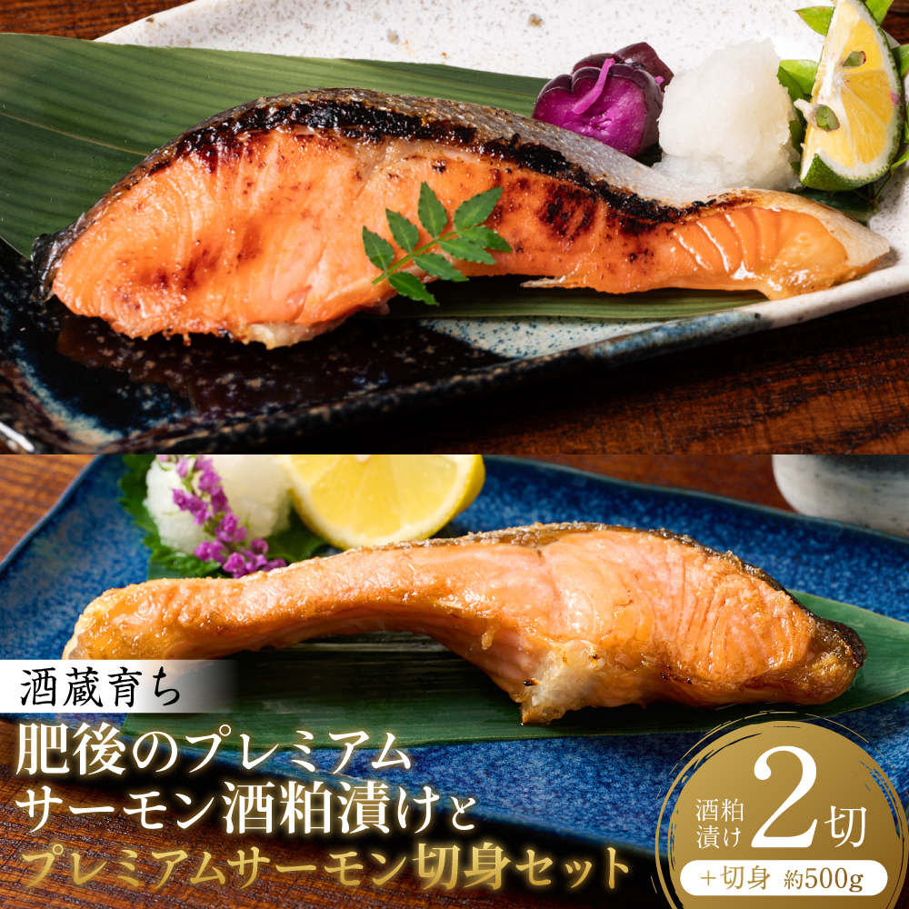 酒蔵育ち 肥後のプレミアムサーモン 酒粕漬け 2切×1パック と プレミアムサーモン切身 約500g セット サーモントラウト 銀鮭 酒粕漬け 酒粕 赤酒 切身 切り身 和食 魚 おかず 熊本県 八代