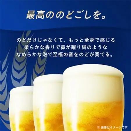 【オジー自慢のオリオンビール】オリオン サザンスター 350ml×24本【1674372】