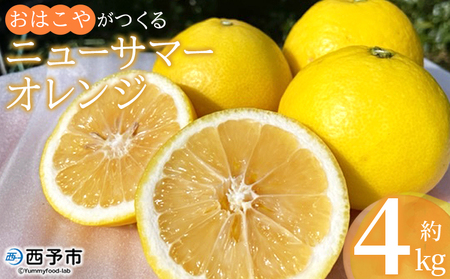 ＜おはこやがつくる ニューサマーオレンジ（日向夏） 約4kg（L～3Lサイズ）＞ 果物 フルーツ 柑橘 ミカン 蜜柑 日向夏 小夏 特産品 西宇和 愛媛県 西予市【常温】『2026年4月上旬～4月下旬迄に順次出荷予定』MOK0005