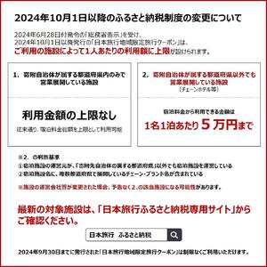 静岡県静岡市　日本旅行　地域限定旅行クーポン90,000円分
