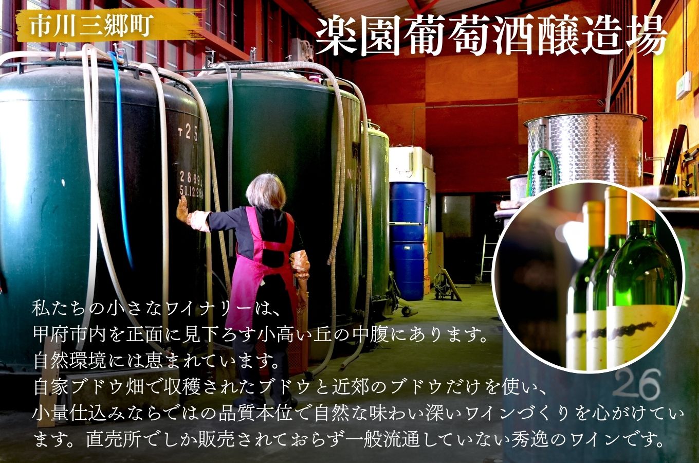 【峡南２町共通返礼品】日本酒純米酒（春鶯囀）・ワイン（楽園ワイン赤）セット[5839-1259]