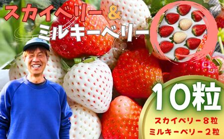 【2027年先行予約】スカイベリー・ミルキーベリー　10粒 (CN)