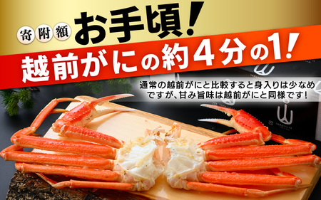 【期間限定】浜茹で 越前産 水がに 1200g（6～14肩） 脱皮したてのずわいがに【福井県 越前町 かに カニ 蟹 ずわいがに ズワイガニ 雄 ズボガニ 水ガニ かに足  冷蔵 越前ガニ 越前かに 
