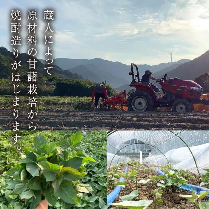 【全3回定期便】五島灘黒麹・明治之芋五島灘2本セット 各720ml×1本[RAW021] 焼酎 芋焼酎 定期便 焼酎 芋焼酎 定期便 焼酎 芋焼酎 定期便 焼酎 芋焼酎 定期便九州 長崎