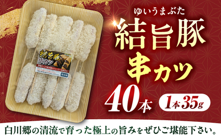 岐阜県産結旨豚串カツ40本 串カツ 豚串カツ[ANBE026]