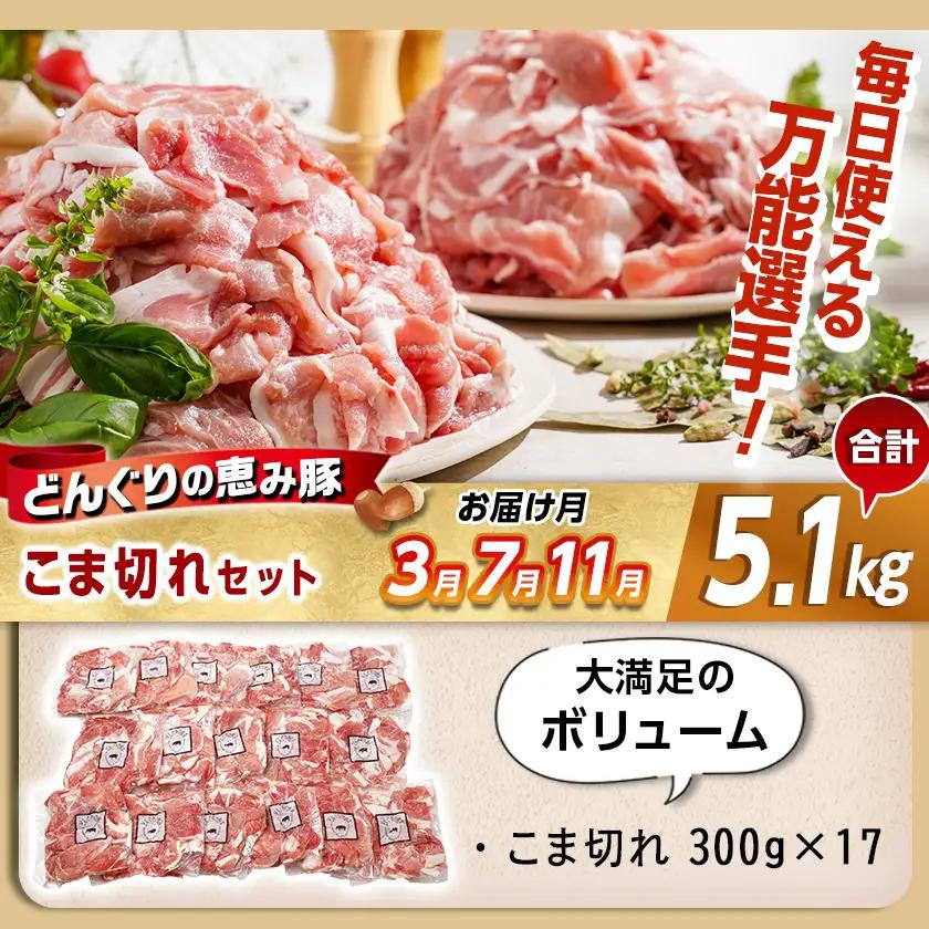 「どんぐりの恵み豚」エンジョイ定期便(10ヶ月)〔T80(10)-1102〕_(都城市) スライスセット 焼肉 スペアリブ こま切れ しゃぶしゃぶセット ブランド豚 10ヶ月 毎月お届け 毎日のお料理