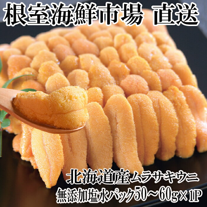 【ふるさと納税】 無添加むきたてムラサキウニ塩水パック 50 〜 60g × 1P [5月下旬以降発送] うに ウニ 雲丹 ムラサキうに むらさきうに 紫うに 紫ウニ 紫雲丹 ウニ丼 うに丼 雲丹丼 刺身 お取り寄せ グルメ 海鮮 北海道 根室市 ふるさと納税 G-14001