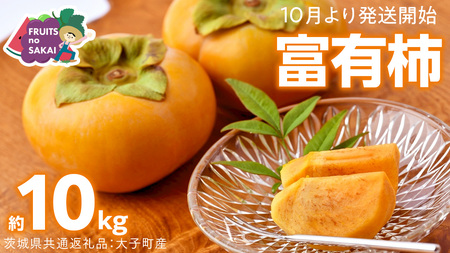富有柿 約10kg 【2025年11月より発送開始】（茨城県共通返礼品 [柿]：大子町産）