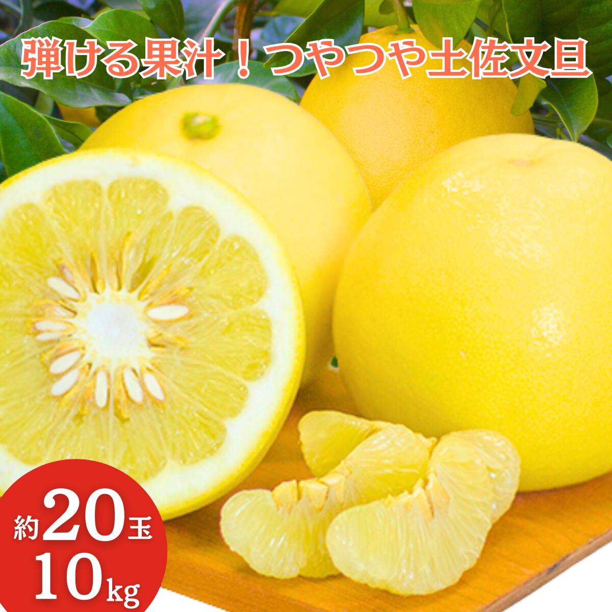 【ふるさと納税】片岡園芸 土佐文旦 10kg 家庭用 ぶんたん ブンタン 柑橘 みかん フルーツ 果物 柚子 ゆず 高知県産 特産品 名産 贈答用 ギフト 贈り物 お歳暮 お中元 果汁 ジュース 産地直送 旬 冬 甘酸っぱい ビタミンC 高知県 仁淀川町