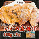 訳あり いか せんべい 100g×5袋 ミネラル水 シママース使用 唐揚げ 天藤商店 自家製