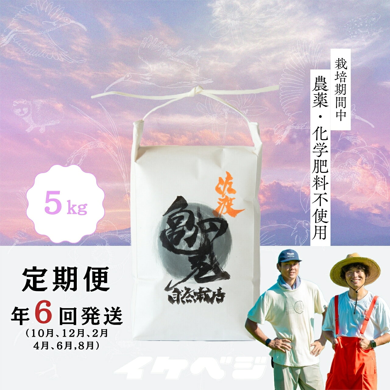 【ふるさと納税】【定期便】米 亀の尾 玄米 5kg×全6回 計30kg 令和8年産 佐渡産 在来種 特別栽培米 亀の尾 ごはん おにぎり お弁当 新潟県 佐渡市