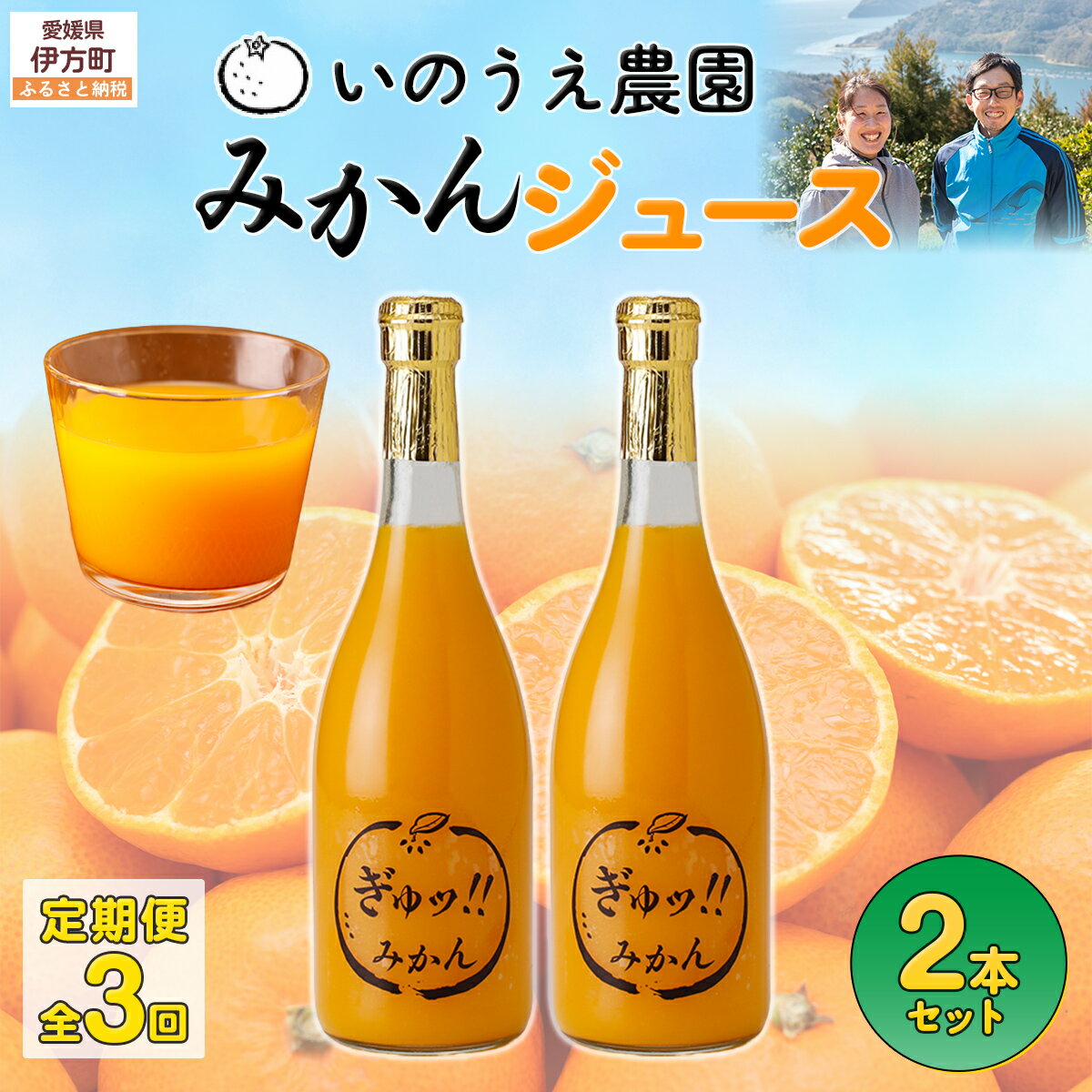 【ふるさと納税】【定期便】いのうえ農園 みかんジュース2本セット 全3回※離島への配送不可 【ふるさと納税 人気 おすすめ ランキング 柑橘 みかん みかんジュース 定期便 フルーツ 果物 産地直送 いのうえ農園 愛媛県産 愛媛県 伊方町 送料無料】 IKTAI026