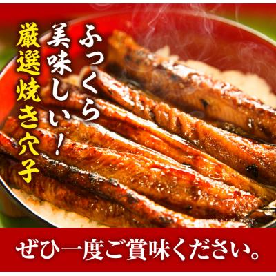 ふるさと納税 笠岡市 焼き穴子(A-06) |  | 03