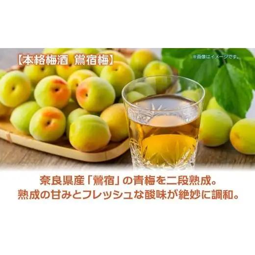 合同酒精 本格梅酒 鴬宿梅 おうしゅくばい 至極二段 720ml 梅酒 果実酒 フルーツ酒 ロック ソーダ割り 水割り 鶯宿 奈良県産 国産梅 フレッシュ 熟成 甘い 爽快感 お酒 酒 アルコール 飲