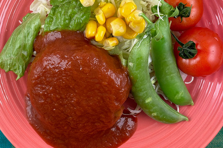 国産有機大豆ミートハンバーグ 100g×10パック 植物性原料使用 ヴィーガン対応 JAS認証取得 お肉のような食感 ボリューム満点 健康志向 ヘルシー食品 冷凍保存 茨城県 潮来市 (A61-001