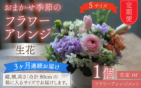 【定期便３回】おまかせ季節のフラワーアレンジ（生花）Ｓサイズ ×３ヶ月【母の日申込期日：4/26（日）まで】【母の日発送予定日：～5/11（月）まで】お好み、着日指定可能　[C-036001]