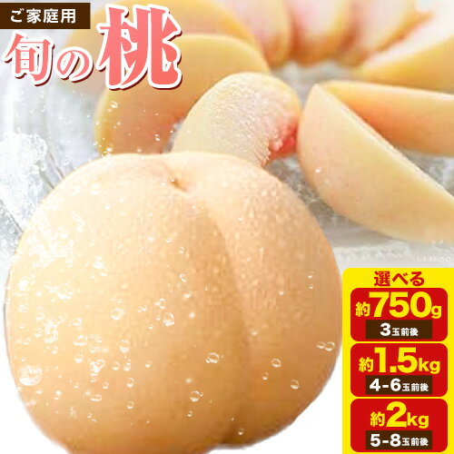 【ふるさと納税】ご家庭用 旬の桃 (なかて~おくての品種) 約750g 約1.5kg 約2kg窪津真果園【配送不可地域あり】《7月中旬-9月中旬頃出荷》岡山県 浅口市 フルーツ モモ 果物 青果 旬 白桃 国産 岡山県産