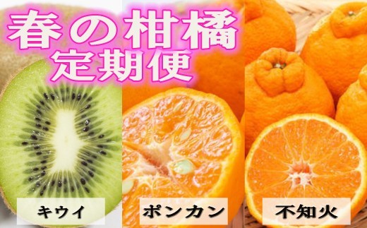 【1月・2月・3月発送】 和歌山の人気の春のフルーツをお届け！ （キウイ・ポンカン・不知火）定期便全3回【tkb431】