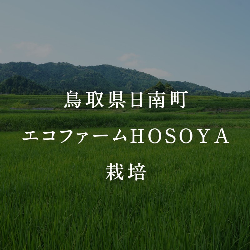 新米・令和8年産 海と天地のめぐみ米(コシヒカリ)白米 5kg エコファームHOSOYA 鳥取県日南町