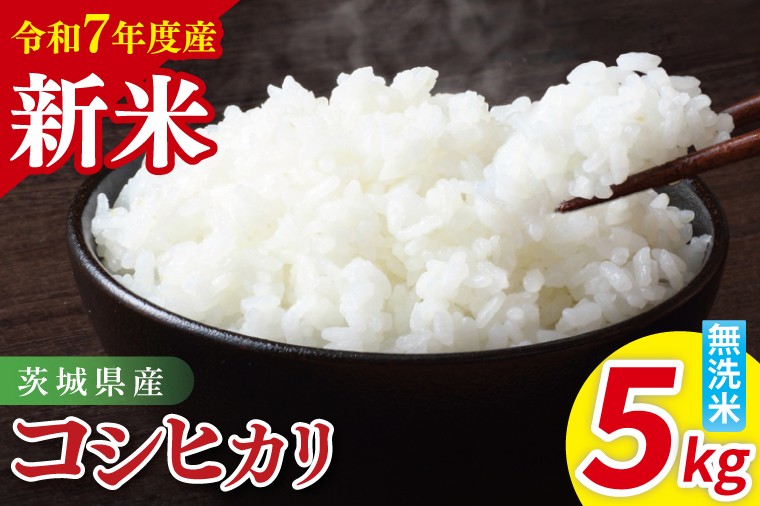 
            【先行予約】令和7年産 茨城県産コシヒカリ　無洗米　5kg【お米 米 こしひかり ごはん 茨城県】（85-86）
          
