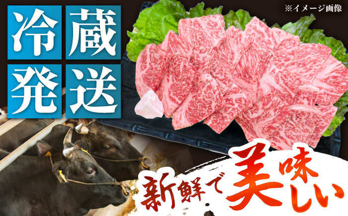 【チルド（冷蔵）発送！】 「飛騨牛」 A5等級 ロース 500g / 牛肉 焼肉 鉄板焼き 網焼き BBQ / 恵那市 / 東美濃農業協同組合 [AUFX008]