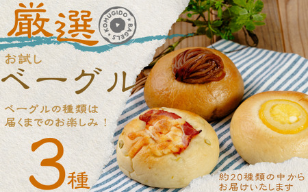 【お試し】ベーグル 3種セット｜ベーグル パン ベーグル パン ベーグル パン ベーグル パン ベーグル パン ベーグル パン ｜